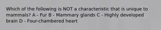 Which of the following is NOT a characteristic that is unique to mammals? A - Fur B - Mammary glands C - Highly developed brain D - Four-chambered heart