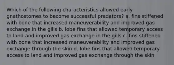 Which of the following characteristics allowed early gnathostomes to become successful predators? a. fins stiffened with bone that increased maneuverability and improved gas exchange in the gills b. lobe fins that allowed temporary access to land and improved gas exchange in the gills c. fins stiffened with bone that increased maneuverability and improved gas exchange through the skin d. lobe fins that allowed temporary access to land and improved gas exchange through the skin