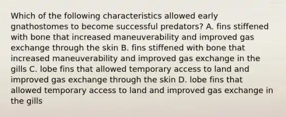 Which of the following characteristics allowed early gnathostomes to become successful predators? A. fins stiffened with bone that increased maneuverability and improved gas exchange through the skin B. fins stiffened with bone that increased maneuverability and improved gas exchange in the gills C. lobe fins that allowed temporary access to land and improved gas exchange through the skin D. lobe fins that allowed temporary access to land and improved gas exchange in the gills