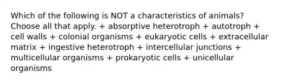 Which of the following is NOT a characteristics of animals? Choose all that apply. + absorptive heterotroph + autotroph + cell walls + colonial organisms + eukaryotic cells + extracellular matrix + ingestive heterotroph + intercellular junctions + multicellular organisms + prokaryotic cells + unicellular organisms