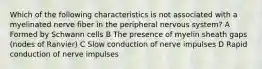 Which of the following characteristics is not associated with a myelinated nerve fiber in the peripheral nervous system? A Formed by Schwann cells B The presence of myelin sheath gaps (nodes of Ranvier) C Slow conduction of nerve impulses D Rapid conduction of nerve impulses