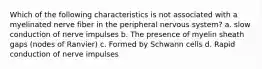 Which of the following characteristics is not associated with a myelinated nerve fiber in the peripheral nervous system? a. slow conduction of nerve impulses b. The presence of myelin sheath gaps (nodes of Ranvier) c. Formed by Schwann cells d. Rapid conduction of nerve impulses