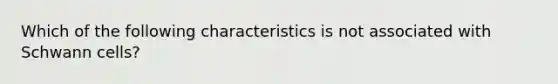 Which of the following characteristics is not associated with Schwann cells?