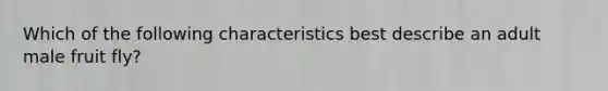 Which of the following characteristics best describe an adult male fruit fly?