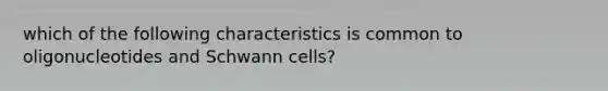 which of the following characteristics is common to oligonucleotides and Schwann cells?