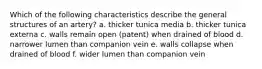 Which of the following characteristics describe the general structures of an artery? a. thicker tunica media b. thicker tunica externa c. walls remain open (patent) when drained of blood d. narrower lumen than companion vein e. walls collapse when drained of blood f. wider lumen than companion vein