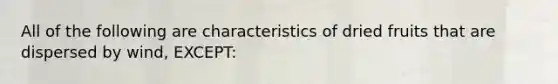 All of the following are characteristics of dried fruits that are dispersed by wind, EXCEPT: