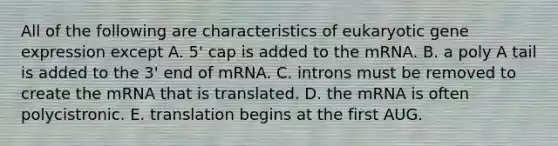 All of the following are characteristics of eukaryotic gene expression except A. 5' cap is added to the mRNA. B. a poly A tail is added to the 3' end of mRNA. C. introns must be removed to create the mRNA that is translated. D. the mRNA is often polycistronic. E. translation begins at the first AUG.