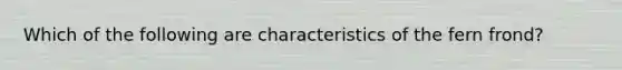 Which of the following are characteristics of the fern frond?