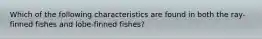 Which of the following characteristics are found in both the ray-finned fishes and lobe-finned fishes?