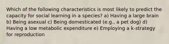 Which of the following characteristics is most likely to predict the capacity for social learning in a species? a) Having a large brain b) Being asexual c) Being domesticated (e.g., a pet dog) d) Having a low metabolic expenditure e) Employing a k-strategy for reproduction