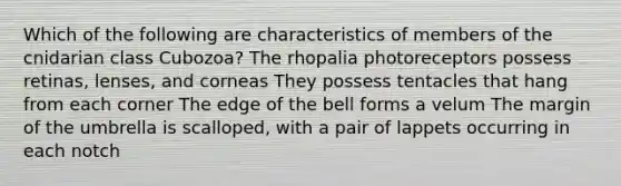 Which of the following are characteristics of members of the cnidarian class Cubozoa? The rhopalia photoreceptors possess retinas, lenses, and corneas They possess tentacles that hang from each corner The edge of the bell forms a velum The margin of the umbrella is scalloped, with a pair of lappets occurring in each notch