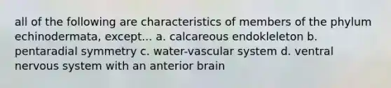 all of the following are characteristics of members of the phylum echinodermata, except... a. calcareous endokleleton b. pentaradial symmetry c. water-vascular system d. ventral nervous system with an anterior brain