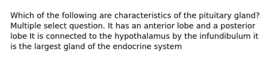 Which of the following are characteristics of the pituitary gland? Multiple select question. It has an anterior lobe and a posterior lobe It is connected to the hypothalamus by the infundibulum it is the largest gland of the endocrine system