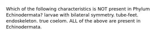 Which of the following characteristics is NOT present in Phylum Echinodermata? larvae with bilateral symmetry. tube-feet. endoskeleton. true coelom. ALL of the above are present in Echinodermata.
