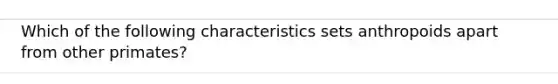 Which of the following characteristics sets anthropoids apart from other primates?