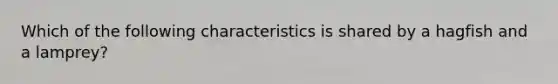 Which of the following characteristics is shared by a hagfish and a lamprey?