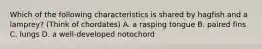 Which of the following characteristics is shared by hagfish and a lamprey? (Think of chordates) A. a rasping tongue B. paired fins C. lungs D. a well-developed notochord