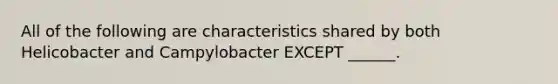 All of the following are characteristics shared by both Helicobacter and Campylobacter EXCEPT ______.