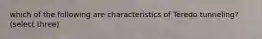 which of the following are characteristics of Teredo tunneling?(select three)