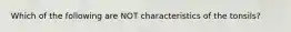 Which of the following are NOT characteristics of the tonsils?