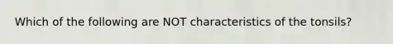 Which of the following are NOT characteristics of the tonsils?