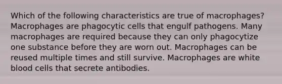 Which of the following characteristics are true of macrophages? Macrophages are phagocytic cells that engulf pathogens. Many macrophages are required because they can only phagocytize one substance before they are worn out. Macrophages can be reused multiple times and still survive. Macrophages are white blood cells that secrete antibodies.