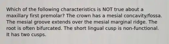 Which of the following characteristics is NOT true about a maxillary first premolar? The crown has a mesial concavity/fossa. The mesial groove extends over the mesial marginal ridge. The root is often bifurcated. The short lingual cusp is non-functional. It has two cusps.