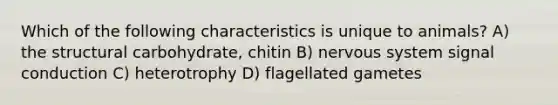 Which of the following characteristics is unique to animals? A) the structural carbohydrate, chitin B) nervous system signal conduction C) heterotrophy D) flagellated gametes