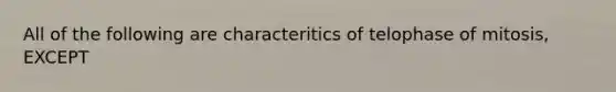 All of the following are characteritics of telophase of mitosis, EXCEPT