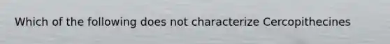 Which of the following does not characterize Cercopithecines