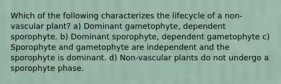 Which of the following characterizes the lifecycle of a non-vascular plant? a) Dominant gametophyte, dependent sporophyte. b) Dominant sporophyte, dependent gametophyte c) Sporophyte and gametophyte are independent and the sporophyte is dominant. d) Non-<a href='https://www.questionai.com/knowledge/kbaUXKuBoK-vascular-plants' class='anchor-knowledge'>vascular plants</a> do not undergo a sporophyte phase.