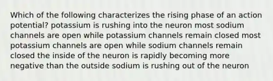 Which of the following characterizes the rising phase of an action potential? potassium is rushing into the neuron most sodium channels are open while potassium channels remain closed most potassium channels are open while sodium channels remain closed the inside of the neuron is rapidly becoming more negative than the outside sodium is rushing out of the neuron