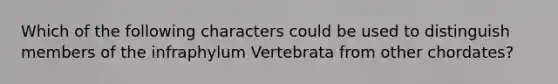 Which of the following characters could be used to distinguish members of the infraphylum Vertebrata from other chordates?