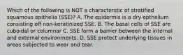 Which of the following is NOT a characterstic of stratified squamous epithelia (SSE)? A. The epidermis is a dry epthelium consisting off non-keratinized SSE. B. The basal cells of SSE are cuboidal or columnar C. SSE form a barrier between the internal and external environments. D. SSE protect underlying tissues in areas subjected to wear and tear.