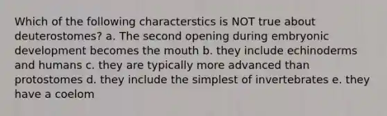 Which of the following characterstics is NOT true about deuterostomes? a. The second opening during embryonic development becomes the mouth b. they include echinoderms and humans c. they are typically more advanced than protostomes d. they include the simplest of invertebrates e. they have a coelom