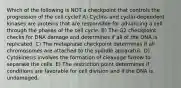 Which of the following is NOT a checkpoint that controls the progression of the cell cycle? A) Cyclins and cyclin-dependent kinases are proteins that are responsible for advancing a cell through the phases of the cell cycle. B) The G2 checkpoint checks for DNA damage and determines if all of the DNA is replicated. C) The metaphase checkpoint determines if all chromosomes are attached to the spindle apparatus. D) Cytokinesis involves the formation of cleavage furrow to separate the cells. E) The restriction point determines if conditions are favorable for cell division and if the DNA is undamaged.