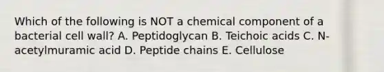 Which of the following is NOT a chemical component of a bacterial cell wall? A. Peptidoglycan B. Teichoic acids C. N-acetylmuramic acid D. Peptide chains E. Cellulose