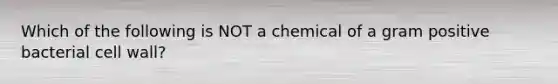 Which of the following is NOT a chemical of a gram positive bacterial cell wall?