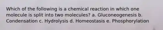 Which of the following is a chemical reaction in which one molecule is split into two molecules? a. Gluconeogenesis b. Condensation c. Hydrolysis d. Homeostasis e. Phosphorylation