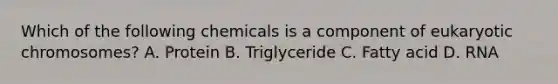 Which of the following chemicals is a component of eukaryotic chromosomes? A. Protein B. Triglyceride C. Fatty acid D. RNA