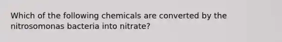 Which of the following chemicals are converted by the nitrosomonas bacteria into nitrate?