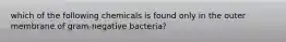 which of the following chemicals is found only in the outer membrane of gram-negative bacteria?