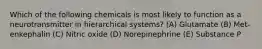 Which of the following chemicals is most likely to function as a neurotransmitter in hierarchical systems? (A) Glutamate (B) Met-enkephalin (C) Nitric oxide (D) Norepinephrine (E) Substance P