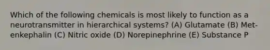 Which of the following chemicals is most likely to function as a neurotransmitter in hierarchical systems? (A) Glutamate (B) Met-enkephalin (C) Nitric oxide (D) Norepinephrine (E) Substance P