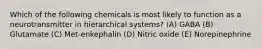 Which of the following chemicals is most likely to function as a neurotransmitter in hierarchical systems? (A) GABA (B) Glutamate (C) Met-enkephalin (D) Nitric oxide (E) Norepinephrine