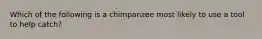 Which of the following is a chimpanzee most likely to use a tool to help catch?