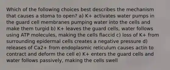 Which of the following choices best describes the mechanism that causes a stoma to open? a) K+ activates water pumps in the guard cell membranes pumping water into the cells and make them turgid b) K+ leaves the guard cells, water follows using ATP molecules, making the cells flaccid c) loss of K+ from surrounding epidermal cells creates a negative pressure d) releases of Ca2+ from endoplasmic reticulum causes actin to contract and deform the cell e) K+ enters the guard cells and water follows passively, making the cells swell