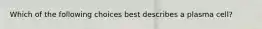 Which of the following choices best describes a plasma cell?