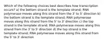 Which of the following choices best describes how transcription occurs? a) the bottom strand is the template strand; RNA polymerase moves along this strand from the 3' to 5' direction b) the bottom strand is the template strand; RNA polymerase moves along this strand from the 5' to 3' direction c) the top strand is the template strand; RNA polymerase moves along this strand from the 3' to 5' direction d) the top strand is the template strand; RNA polymerase moves along this strand from the 5' to 3' direction